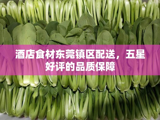 酒店食材东莞镇区配送，五星好评的品质保障
