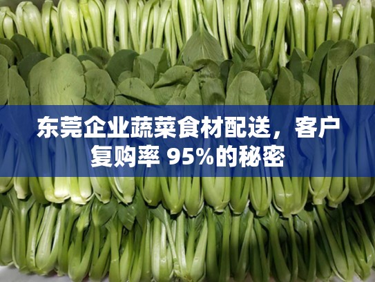 东莞企业蔬菜食材配送，客户复购率 95%的秘密