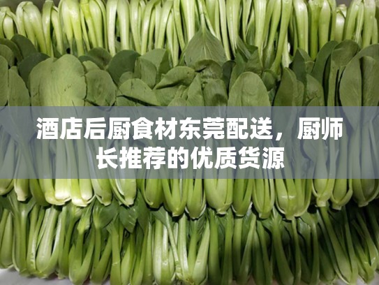 酒店后厨食材东莞配送，厨师长推荐的优质货源