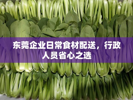 东莞企业日常食材配送，行政人员省心之选