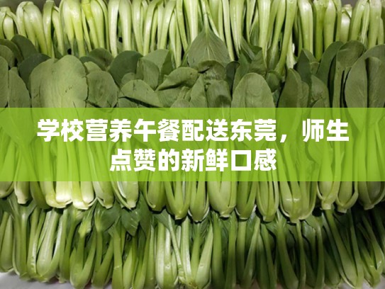 学校营养午餐配送东莞，师生点赞的新鲜口感