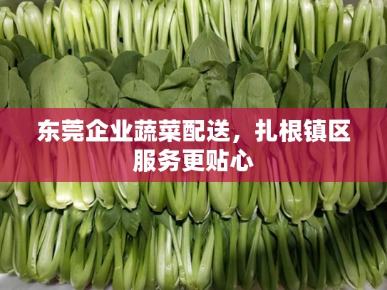 东莞企业蔬菜配送，扎根镇区服务更贴心