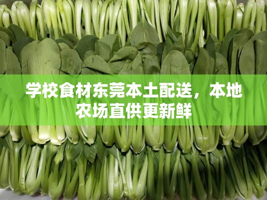 学校食材东莞本土配送，本地农场直供更新鲜