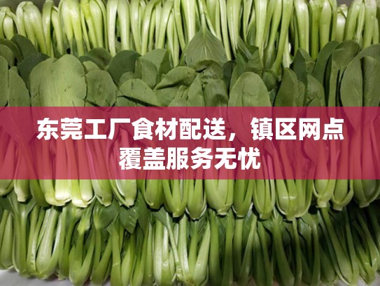 东莞工厂食材配送，镇区网点覆盖服务无忧