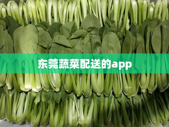 东莞蔬菜配送的app