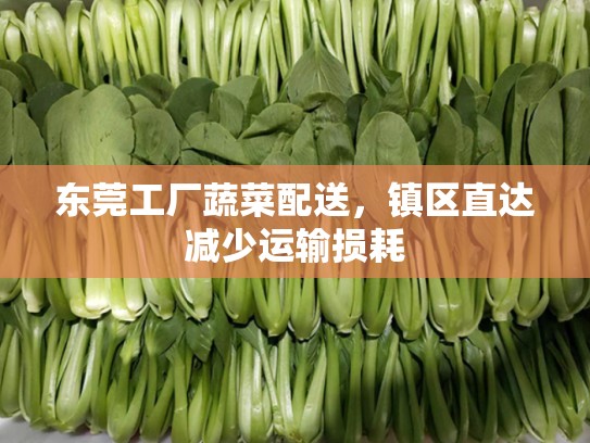 东莞工厂蔬菜配送，镇区直达减少运输损耗