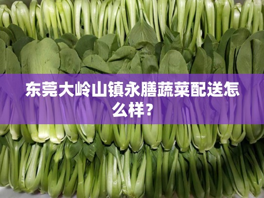 东莞大岭山镇永膳蔬菜配送怎么样？