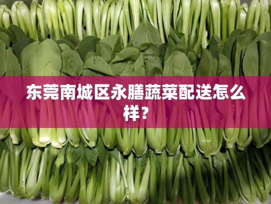 东莞南城区永膳蔬菜配送怎么样？