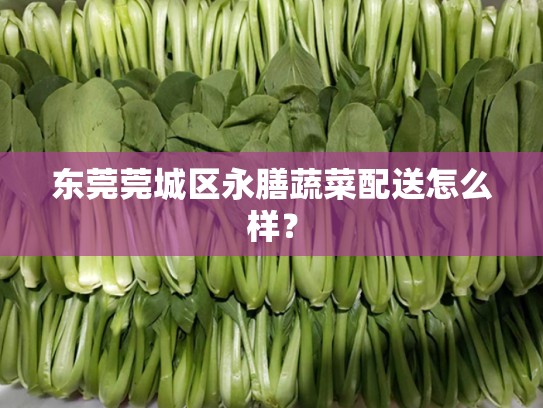 东莞莞城区永膳蔬菜配送怎么样？