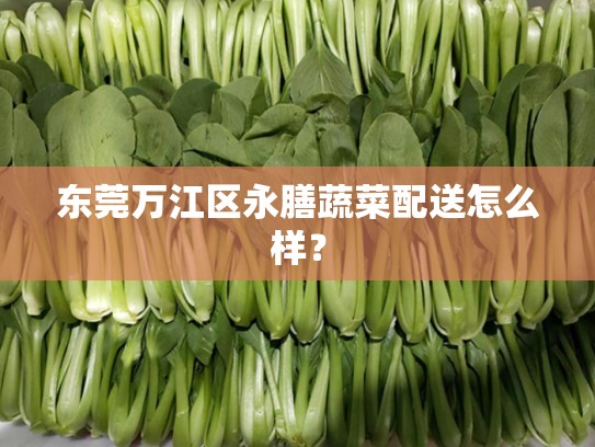 东莞万江区永膳蔬菜配送怎么样？