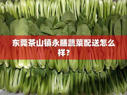 东莞茶山镇永膳蔬菜配送怎么样？