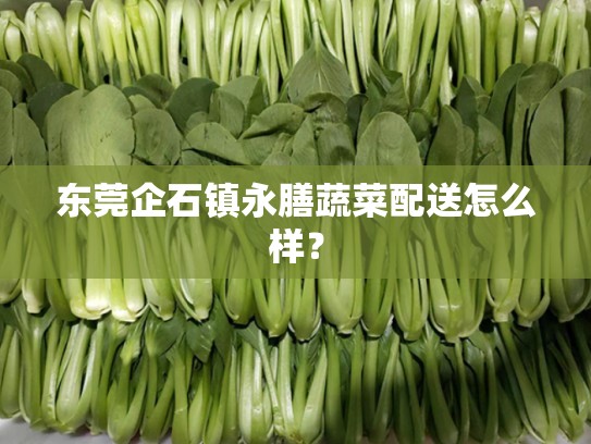 东莞企石镇永膳蔬菜配送怎么样？