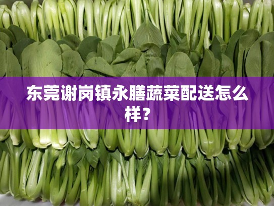东莞谢岗镇永膳蔬菜配送怎么样？