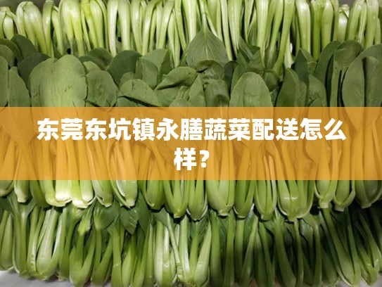 东莞东坑镇永膳蔬菜配送怎么样？