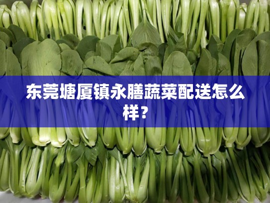 东莞塘厦镇永膳蔬菜配送怎么样？