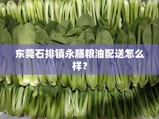 东莞石排镇永膳粮油配送怎么样？