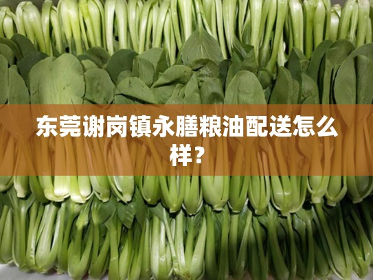 东莞谢岗镇永膳粮油配送怎么样？
