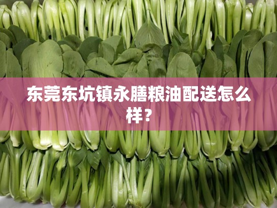 东莞东坑镇永膳粮油配送怎么样？