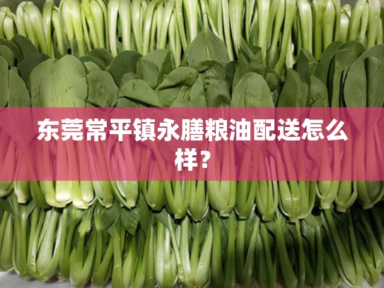 东莞常平镇永膳粮油配送怎么样？