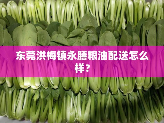 东莞洪梅镇永膳粮油配送怎么样？