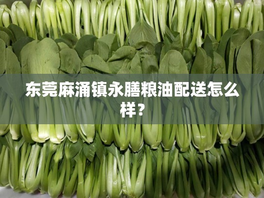 东莞麻涌镇永膳粮油配送怎么样？