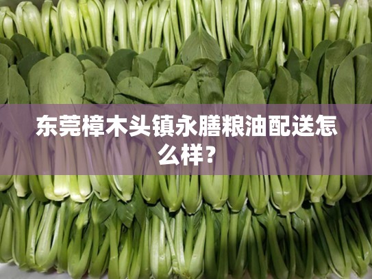 东莞樟木头镇永膳粮油配送怎么样？