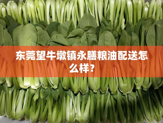 东莞望牛墩镇永膳粮油配送怎么样？