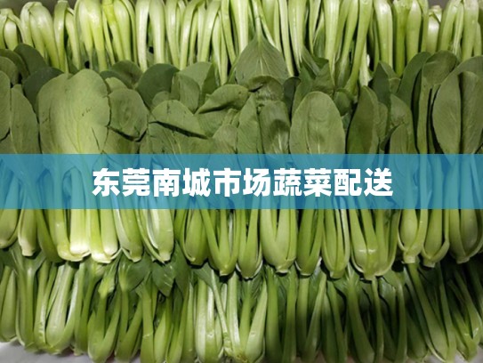 东莞南城市场蔬菜配送