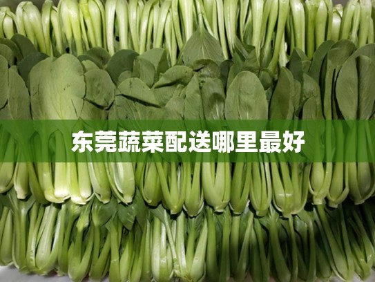 东莞蔬菜配送哪里最好