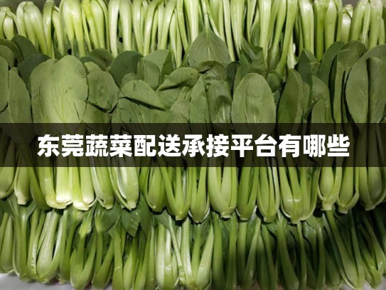 东莞蔬菜配送承接平台有哪些