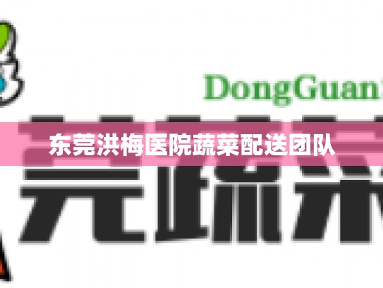 东莞洪梅医院蔬菜配送团队