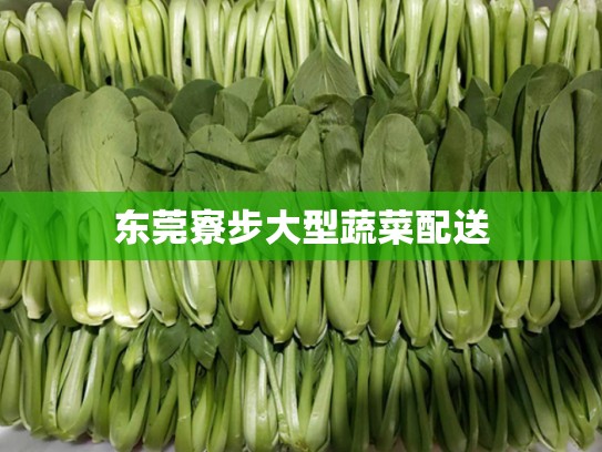 东莞寮步大型蔬菜配送