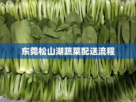 东莞松山湖蔬菜配送流程