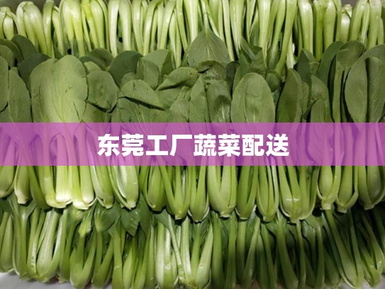 东莞工厂蔬菜配送