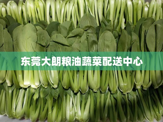 东莞大朗粮油蔬菜配送中心