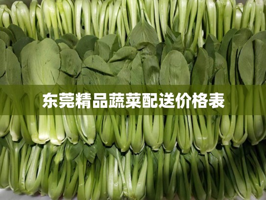 东莞精品蔬菜配送价格表