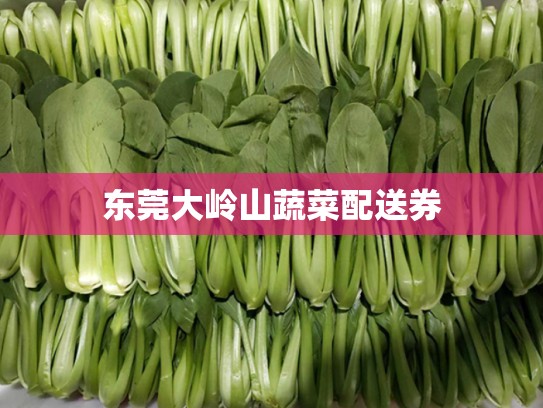 东莞大岭山蔬菜配送券