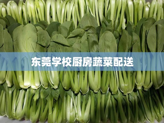 东莞学校厨房蔬菜配送