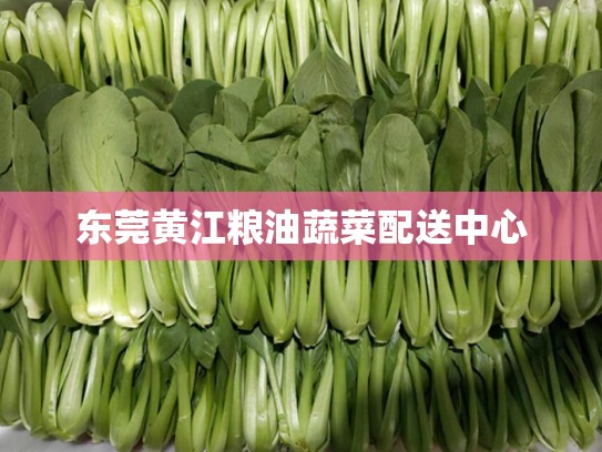 东莞黄江粮油蔬菜配送中心