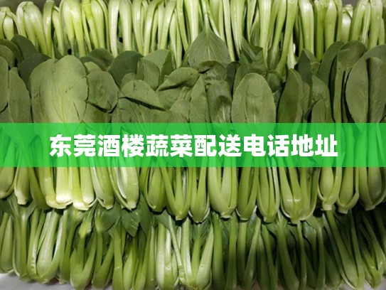 东莞酒楼蔬菜配送电话地址