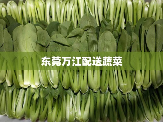 东莞万江配送蔬菜