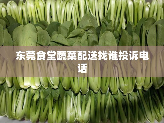 东莞食堂蔬菜配送找谁投诉电话