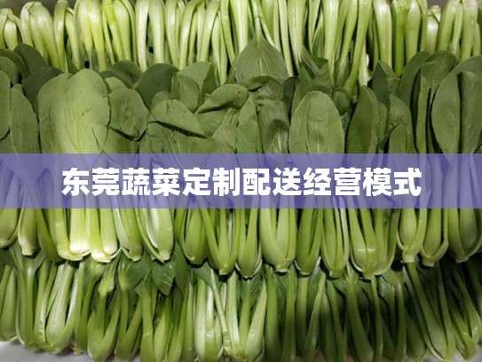 东莞蔬菜定制配送经营模式