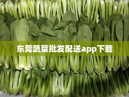 东莞蔬菜批发配送app下载