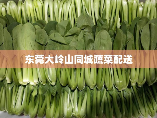 东莞大岭山同城蔬菜配送