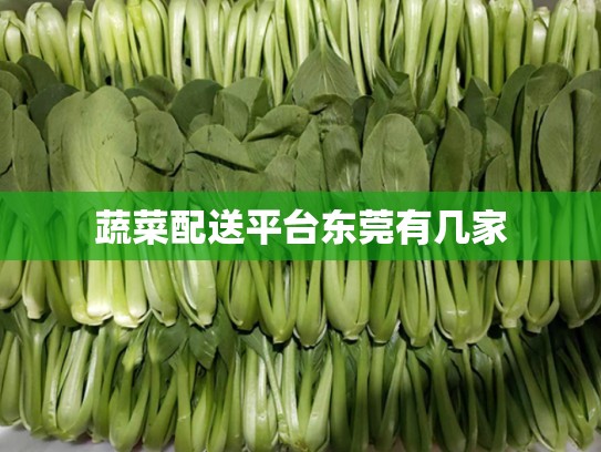 蔬菜配送平台东莞有几家