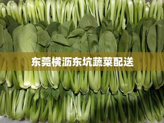 东莞横沥东坑蔬菜配送