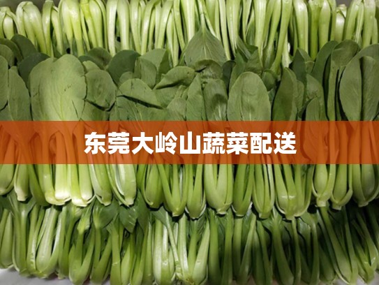 东莞大岭山蔬菜配送