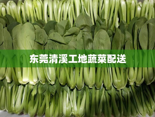 东莞清溪工地蔬菜配送