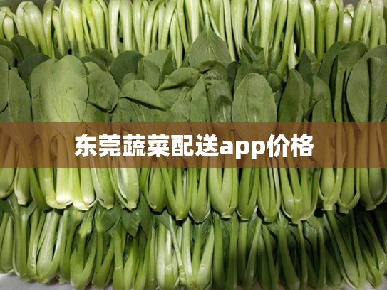 东莞蔬菜配送app价格